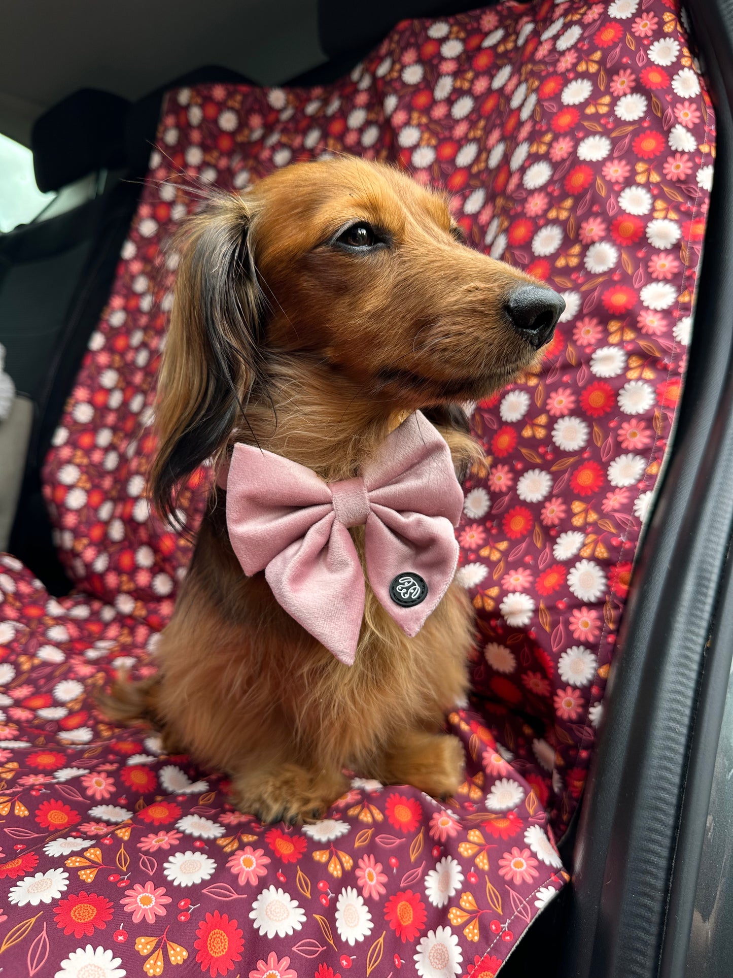 Dog Car Seat Cover & Travel Mat - Floral Blossoms