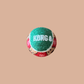 Christmas Small Dog Bundle - Lilo Dachshund Threads - 