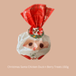 Christmas Small Dog Bundle - Lilo Dachshund Threads - 