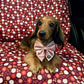 Dog Car Seat Cover & Travel Mat - Puppy Paws - Lilo Dachshund Threads - 