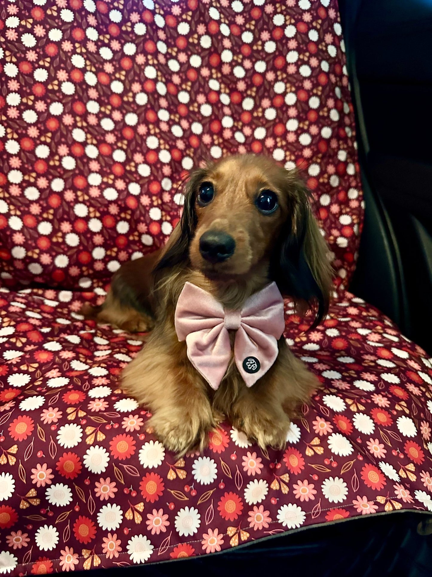 Dog Car Seat Cover & Travel Mat - Puppy Paws - Lilo Dachshund Threads - 