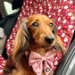 Dog Car Seat Cover & Travel Mat - Puppy Paws - Lilo Dachshund Threads - 