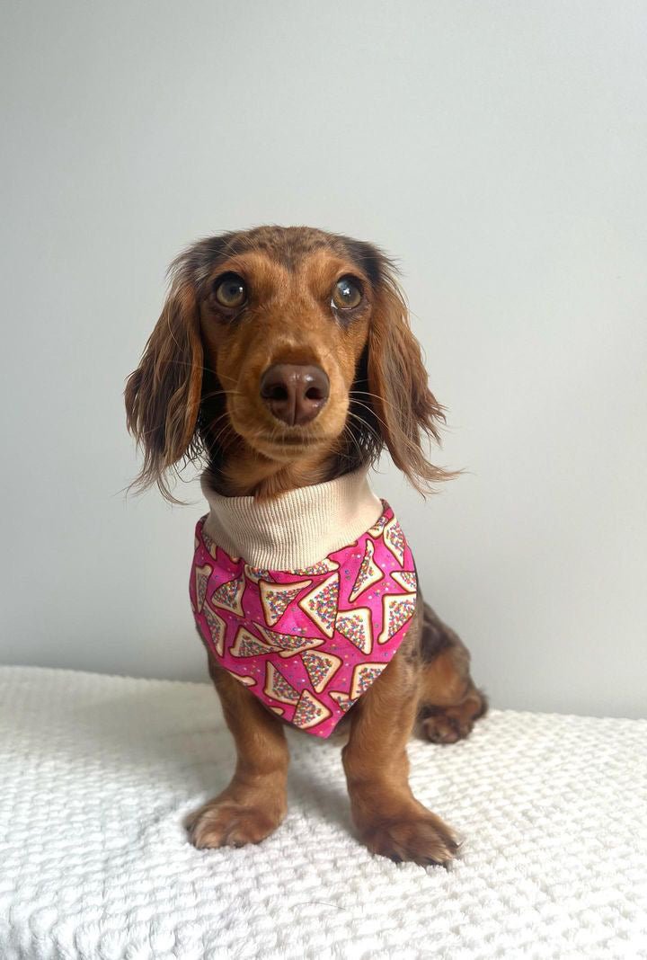 Fairy Bread and Coffee Pull Over Bandana’s - Lilo Dachshund Threads--