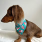 Fairy Bread and Coffee Pull Over Bandana’s - Lilo Dachshund Threads--