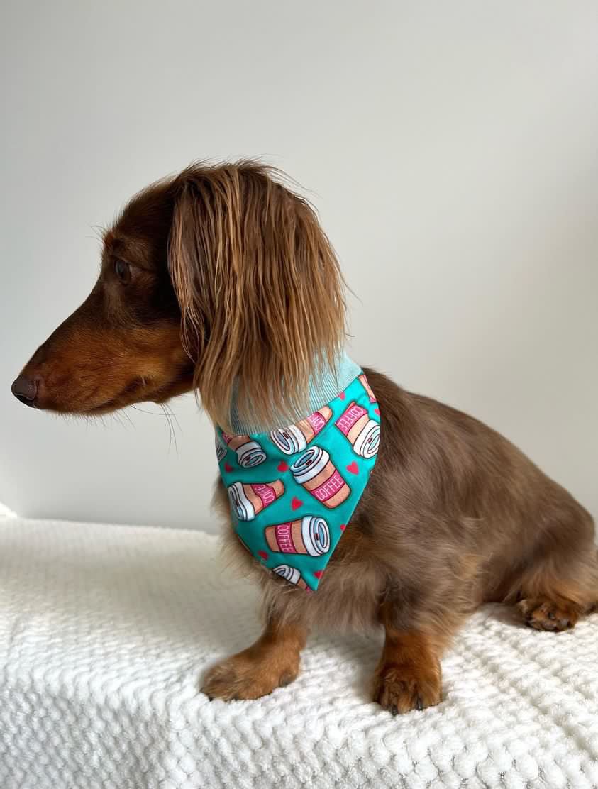 Fairy Bread and Coffee Pull Over Bandana’s - Lilo Dachshund Threads--