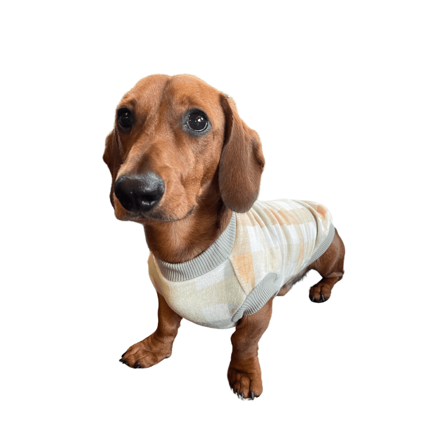 Green & Apricot Gingham PJ Jumper - Lilo Dachshund Threads--