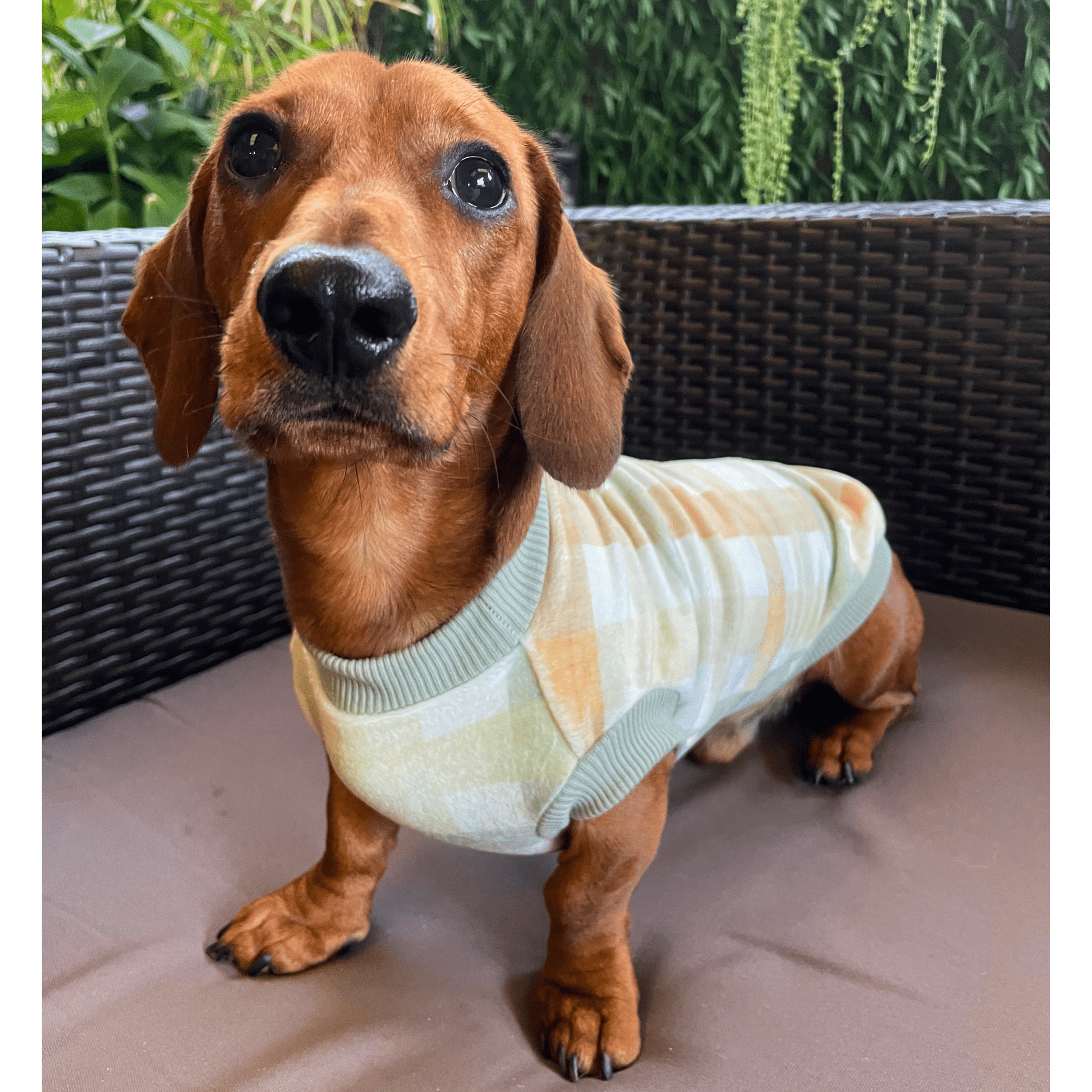 Green & Apricot Gingham PJ Jumper - Lilo Dachshund Threads--