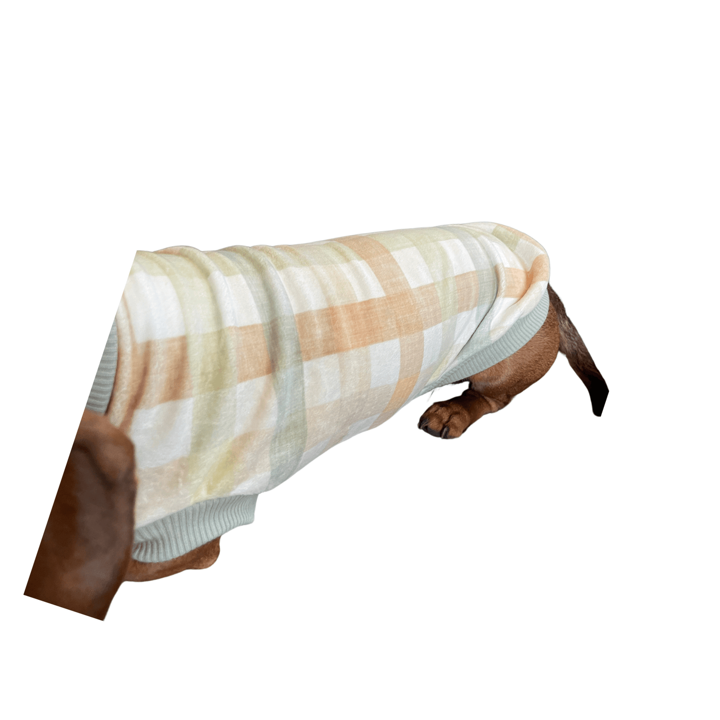 Green & Apricot Gingham PJ Jumper - Lilo Dachshund Threads--