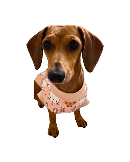 Happy Bunnies - Lilo Dachshund Threads-Raincoat-