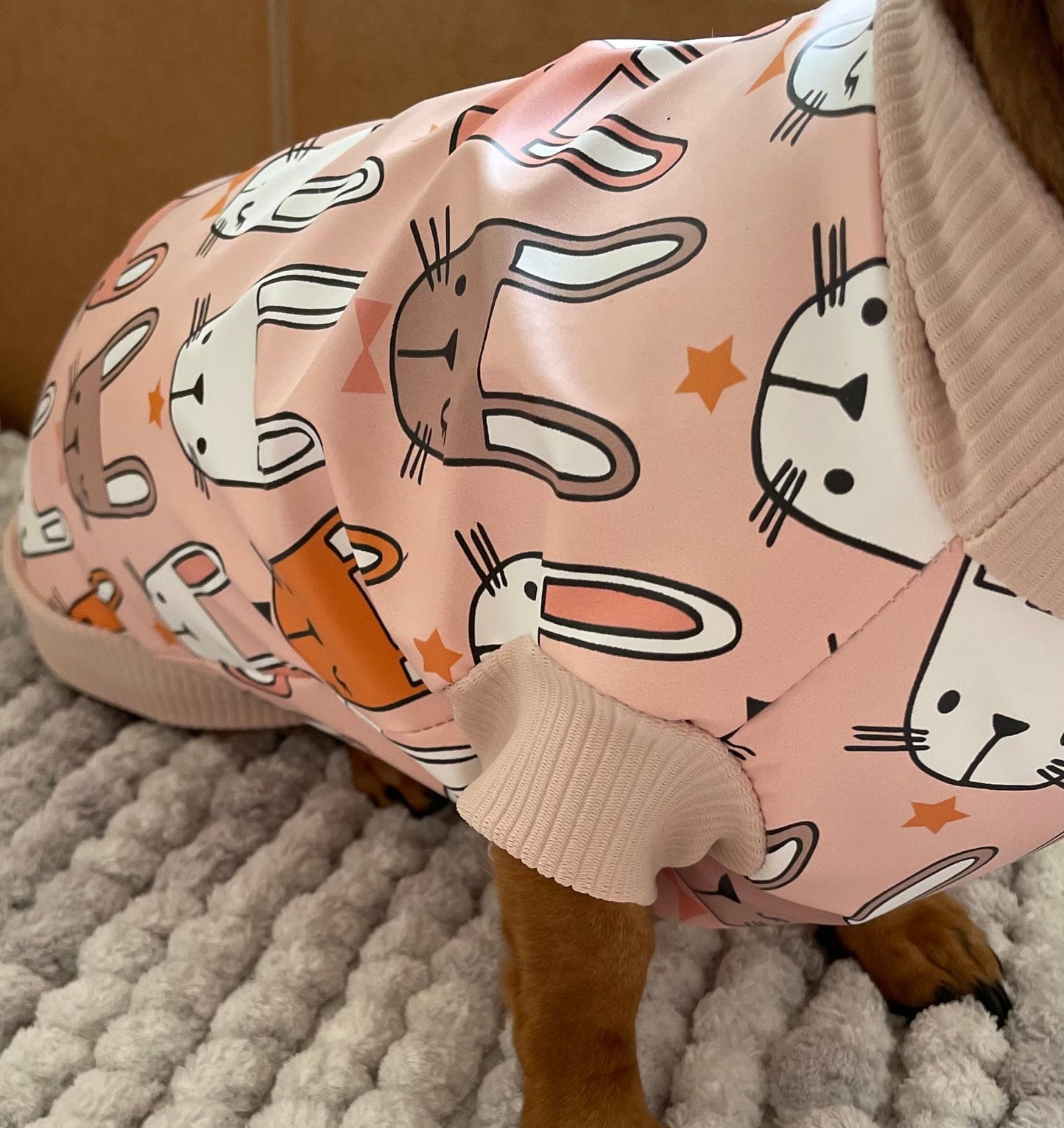 Happy Bunnies - Lilo Dachshund Threads-Raincoat-