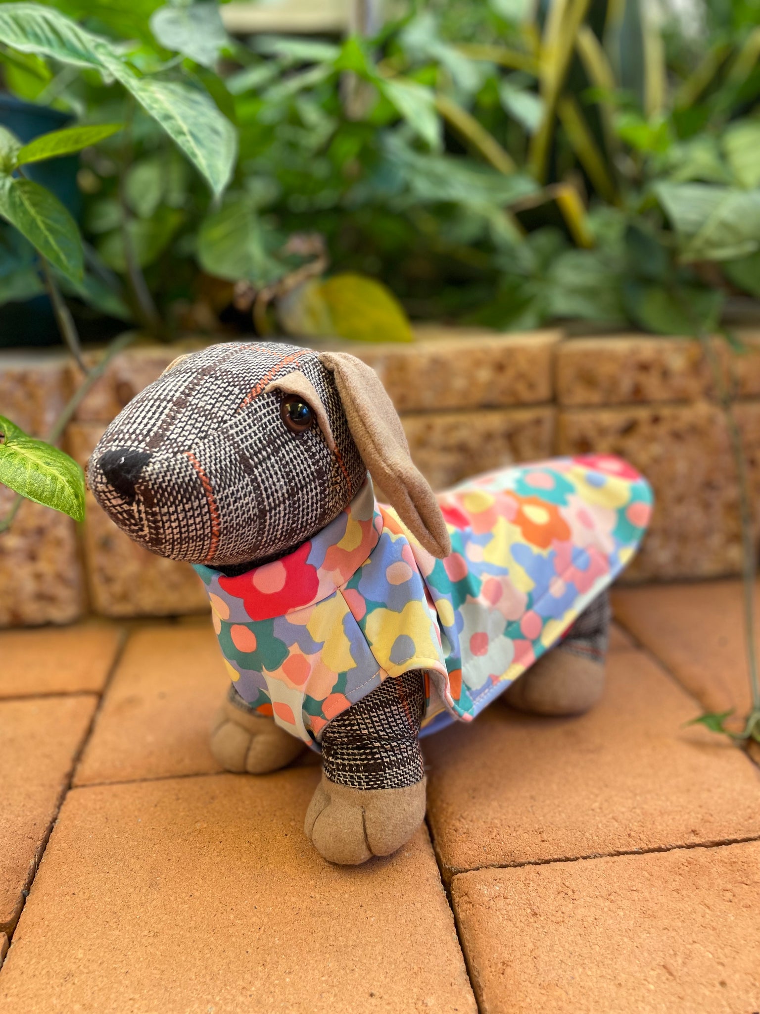 Rain jacket 2025 for dachshund