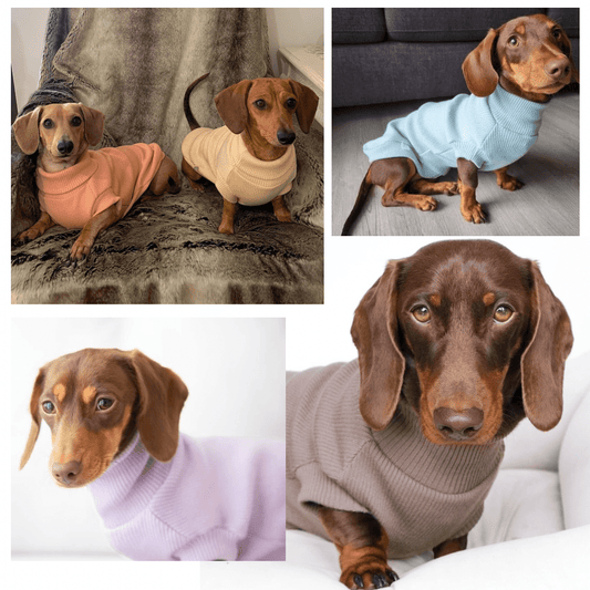 Lilo & Co Turtleneck - Lilo Dachshund Threads--