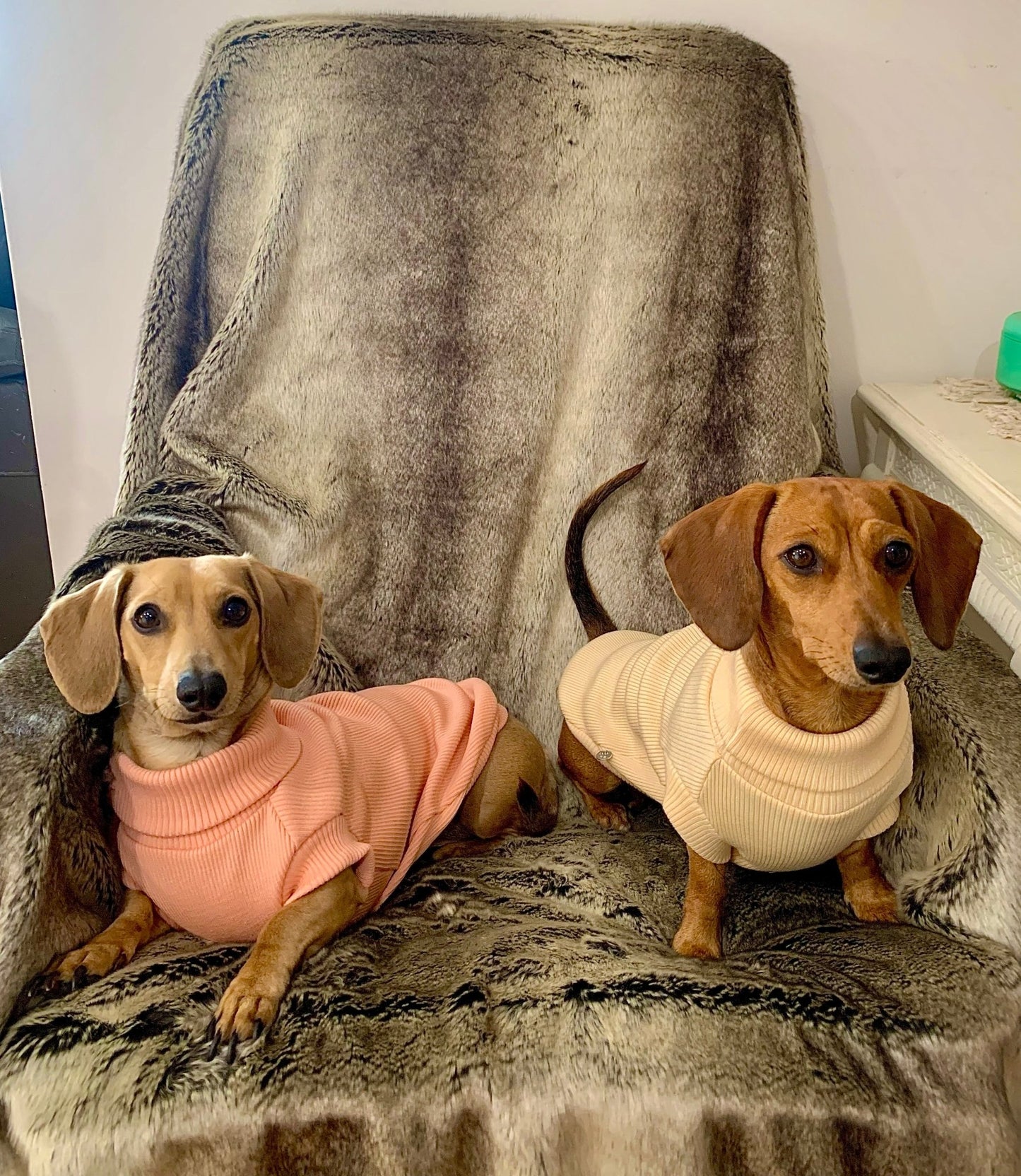 Lilo & Co Turtleneck - Lilo Dachshund Threads--