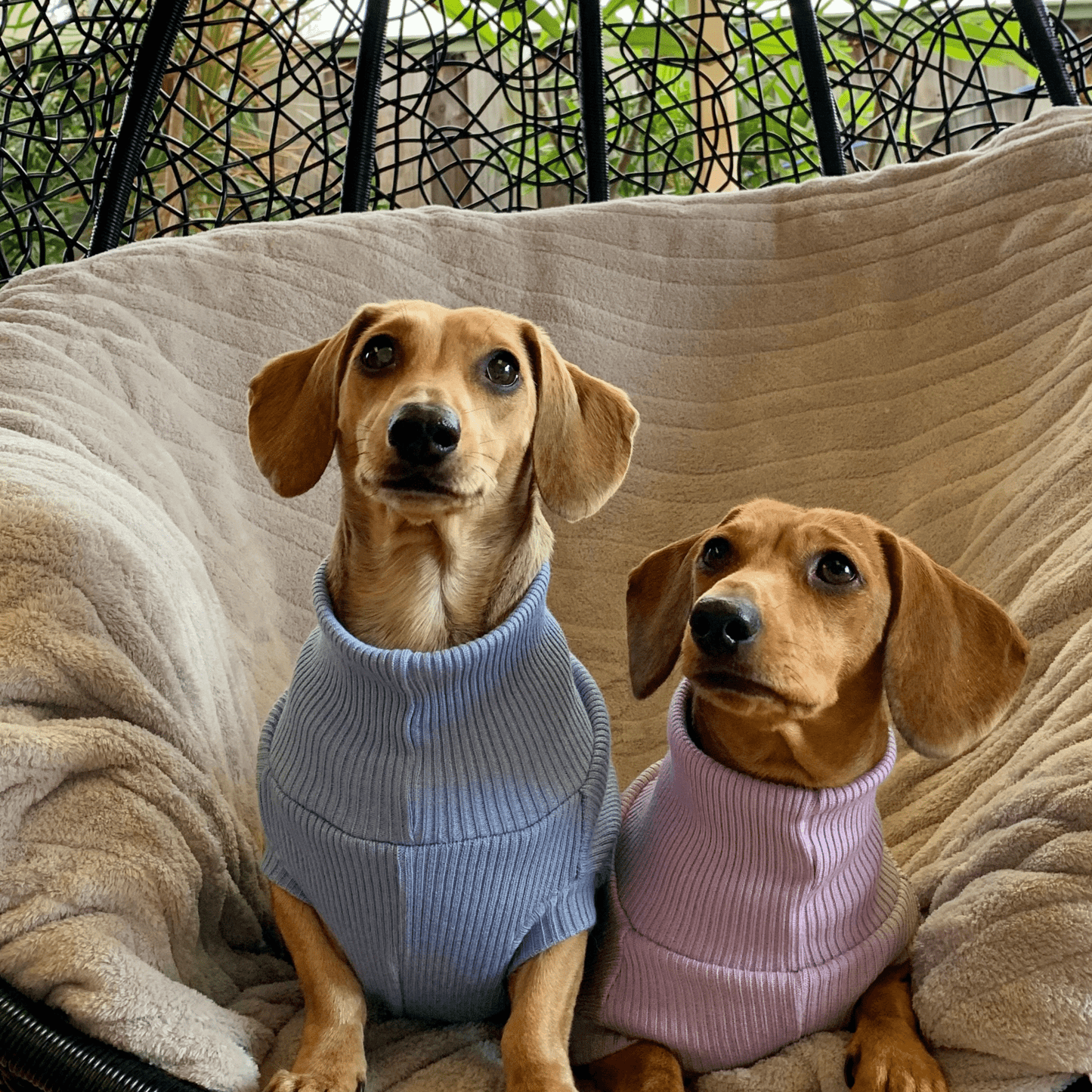 Sausage Dog Turtleneck Jumper Coat Pink Blue Lilac Lemon Mint G Lilo Dachshund Threads