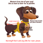 Neutral Latte Daisy’s - Lilo Dachshund Threads - 