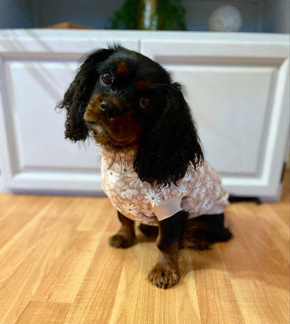 Neutral Latte Daisy’s - Lilo Dachshund Threads - 