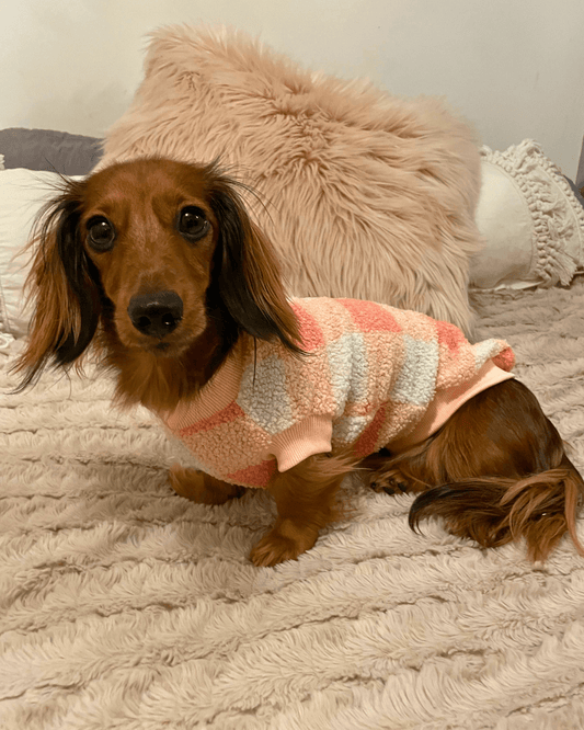 Plaid Teddy Fleece Jumper - Lilo Dachshund Threads--