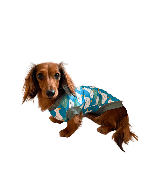 Puddle Duck Rain Coat - Lilo Dachshund Threads--