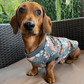 Pup Paws PJ Jumper - Lilo Dachshund Threads--