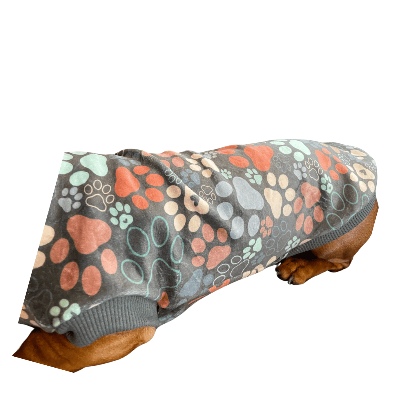 Pup Paws PJ Jumper - Lilo Dachshund Threads--