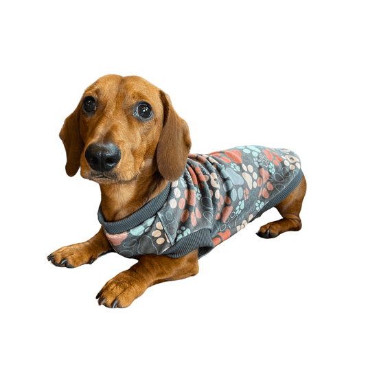 Pup Paws PJ Jumper - Lilo Dachshund Threads--