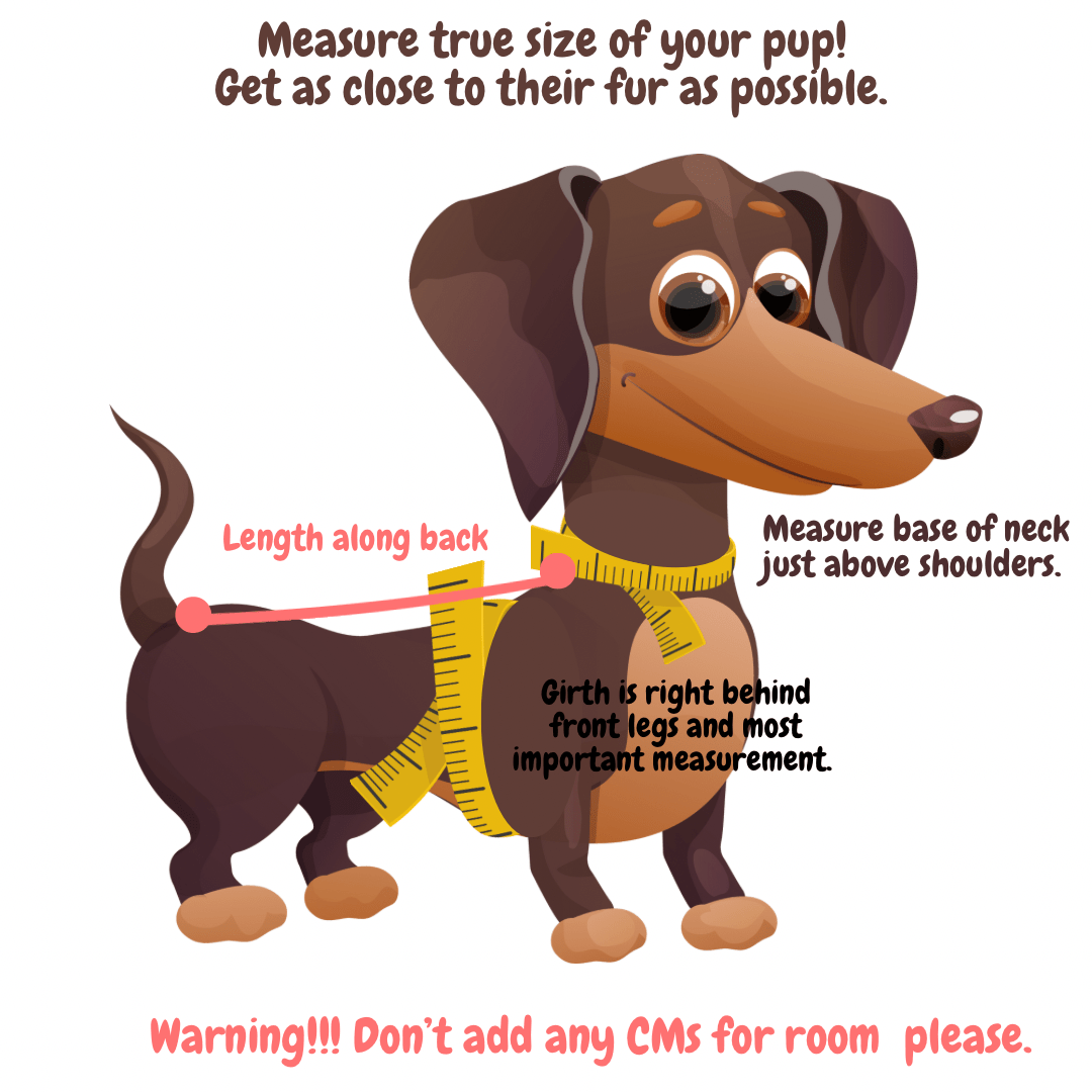 Soft Wool Knit Jumper - Lilo Dachshund Threads--