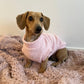Super Soft Wool Knit Jumper - Lilo Dachshund Threads--