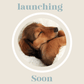 The Snag Bag - Lilo Dachshund Threads--