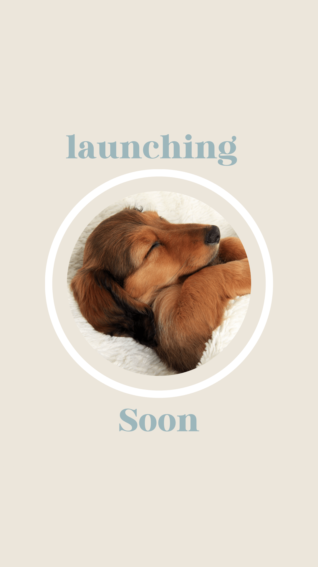 The Snag Bag - Lilo Dachshund Threads--