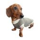 Waffle knit Jumper - Lilo Dachshund Threads--