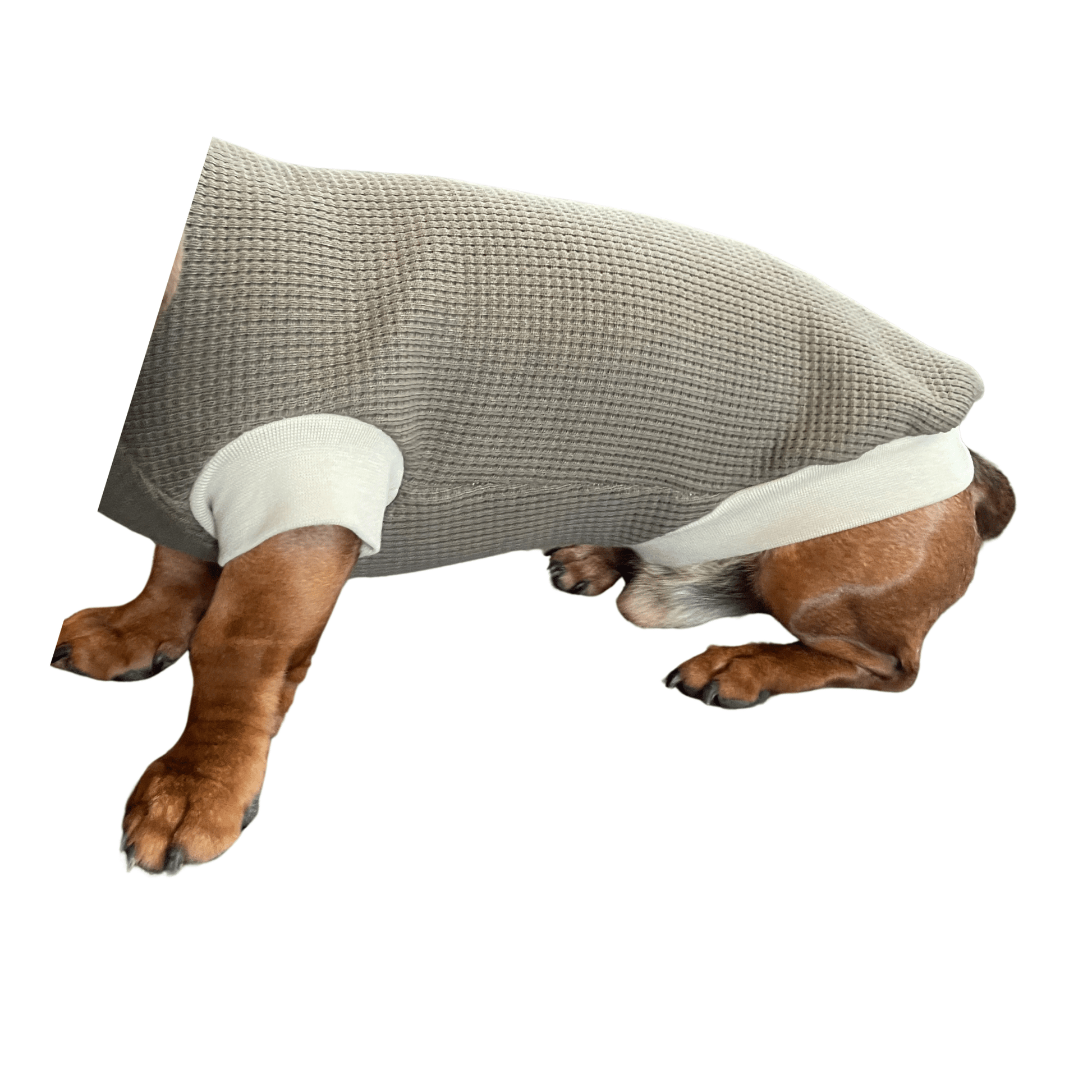 Waffle knit Jumper - Lilo Dachshund Threads--